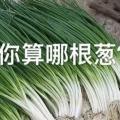 熊德和混沌16