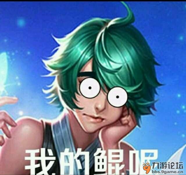 王者荣耀英雄惊讶表情包