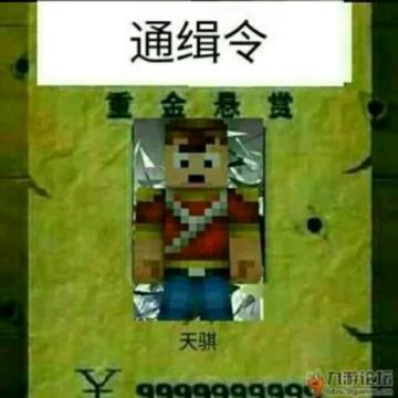 九游玩家770234106804