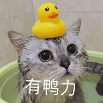 嘤嘤嘤521