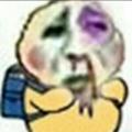 九游玩家240916285543