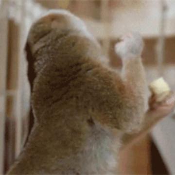 九游玩家791732512602