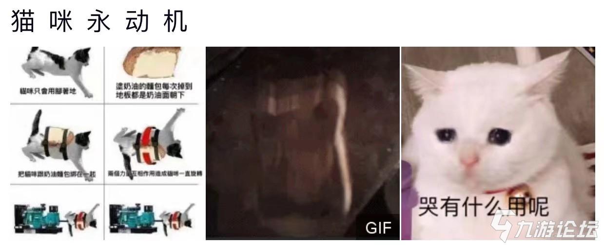 猫咪永动机网络