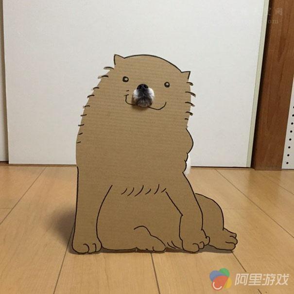 在家中无聊的时候怎么办 教你如何用狗狗玩Co