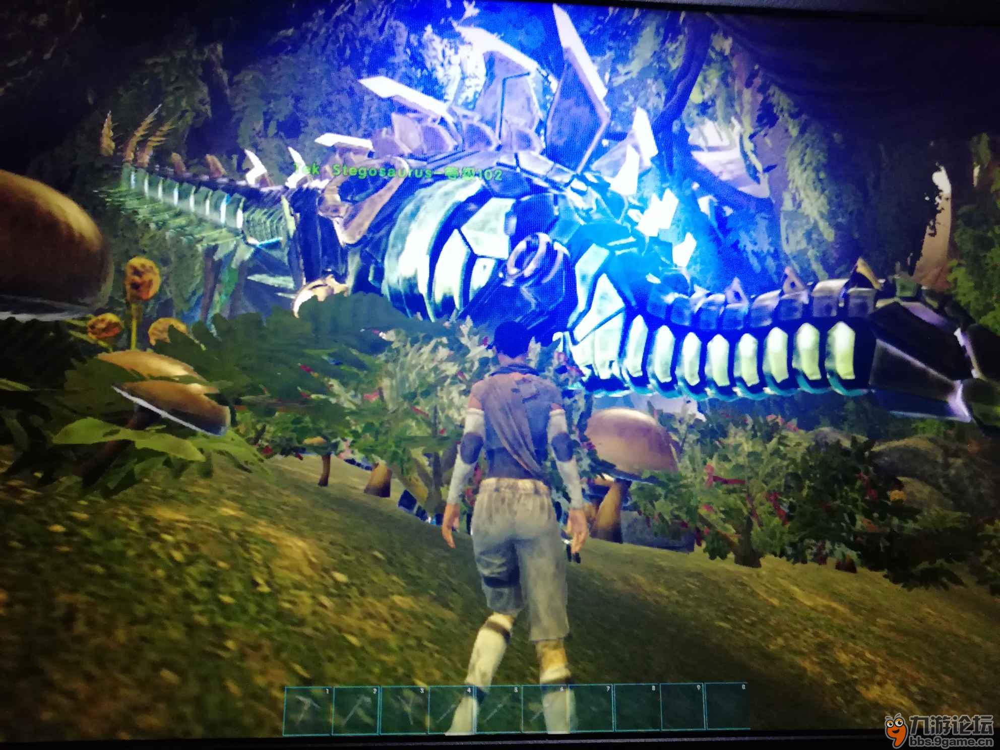 今天连遇三只泰克剑龙那只最好看