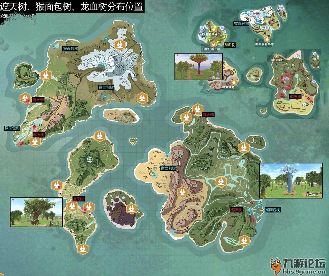 有没有人知道龙血树在哪