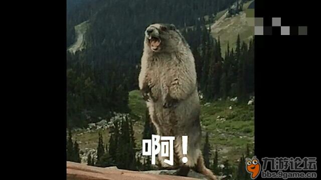 世界频道是被哪一只狗熊吃的?答案就像下面图