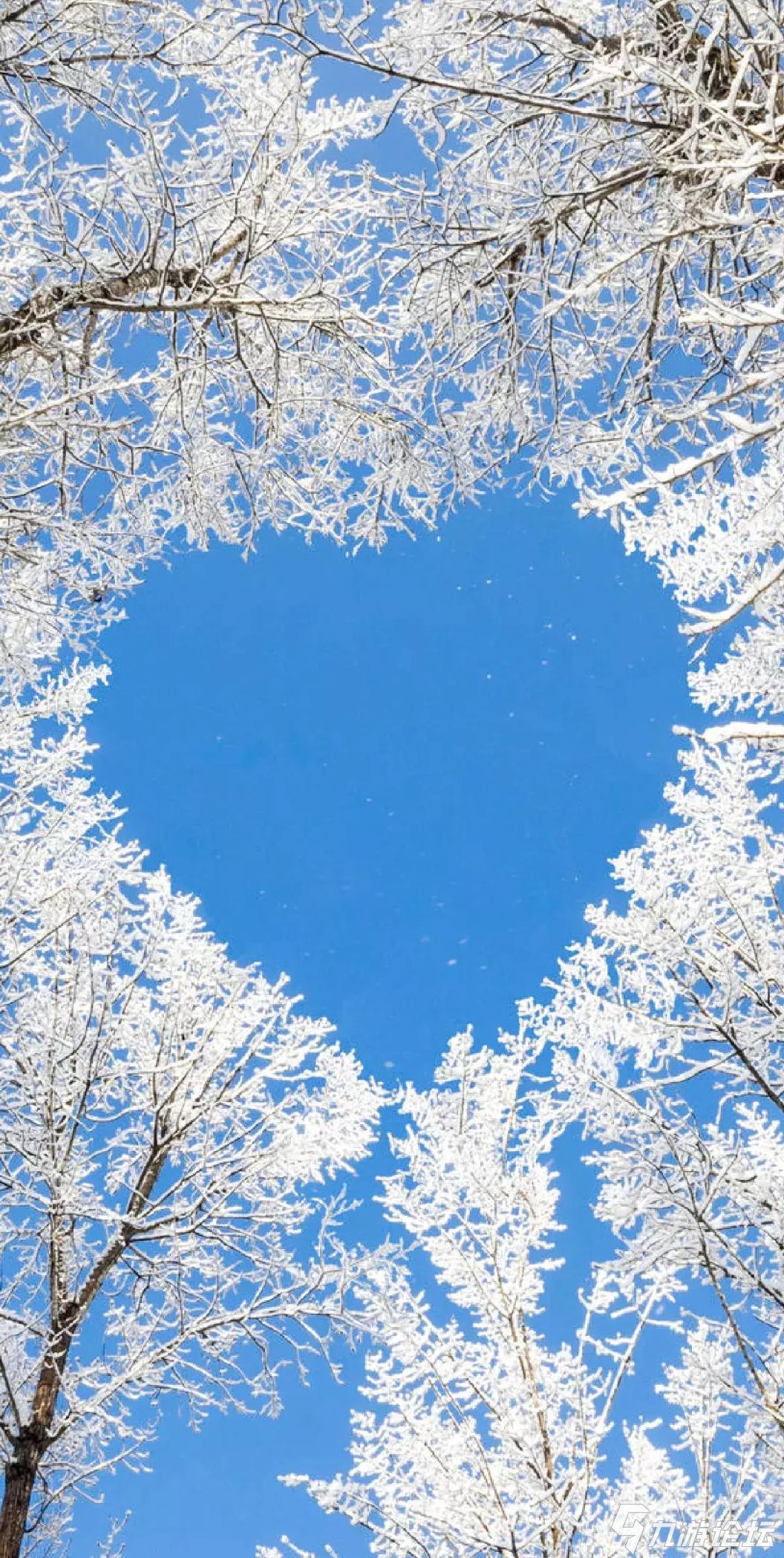 好美的雪景,今天情人节来个爱心.