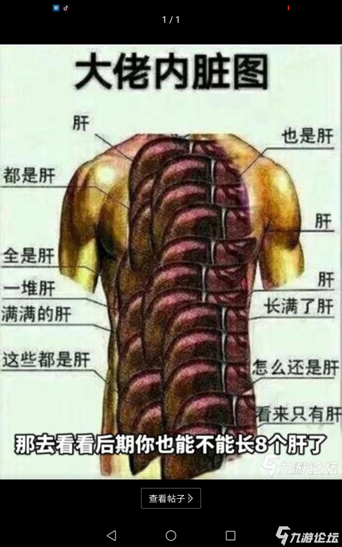 肝帝内脏图_创造与魔法_九游论坛