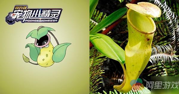 许多形象都在现实生活中似曾相识,比如杰尼龟就是海龟和陆龟的结合体